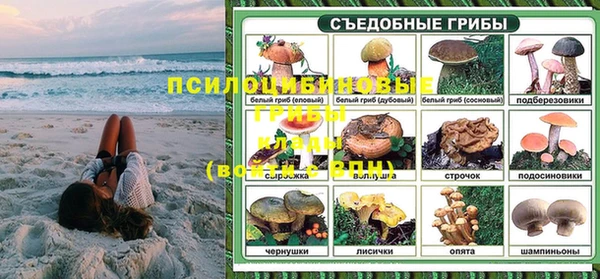 гашик Киреевск