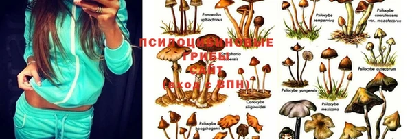 дурь Киренск